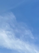 りり