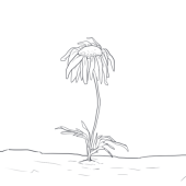 とうざ
