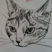 九頭見べこ