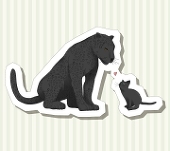 まきの