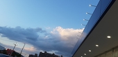 彩です。