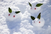 雪うさぎ