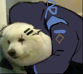 Dibillius