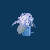 に