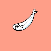 しらす