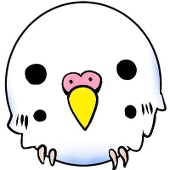 科上インコ
