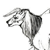 JKH