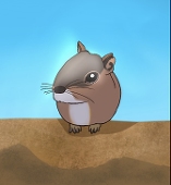 ケイブジャック