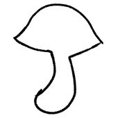 菇琪