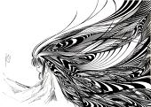 RigeL