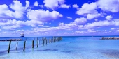 月海きみ音