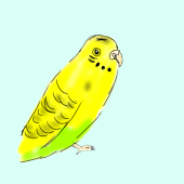 孤白日和