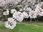 ぢ