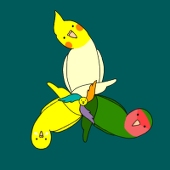 Birdroid