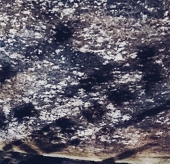 cacao