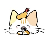 えびねこ