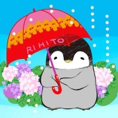 柚咲吏緋兎（RIHITO）