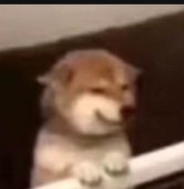 7355608