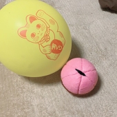 なつね