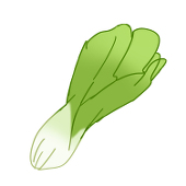 Lettuce