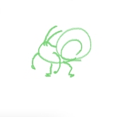 つむつむかたつむり