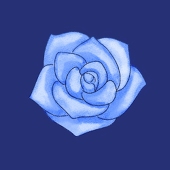 Aoi