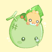zann