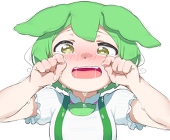 knmayo