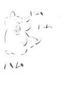 ゆず玉@雑食