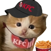 踹踹