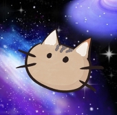 ねこたろ