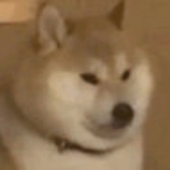 甜牛奶盒子