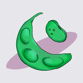 黒埼えだまめ