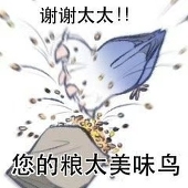 身兼数职黎光君