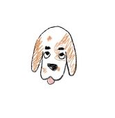 タレミミノアジ