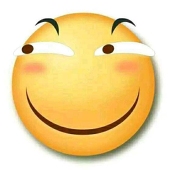 滑天下之大稽