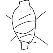 くどう