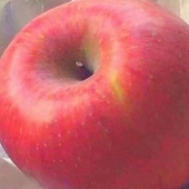 谲
