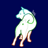 だら