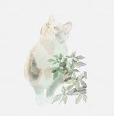 みら