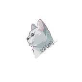 ViAKEY
