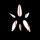x84