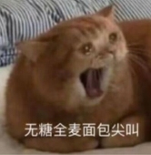 エミュー