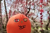 みなこ