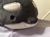 ふむふむ