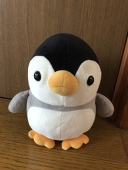 Luca