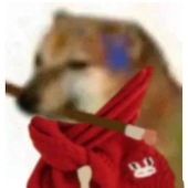 NPP