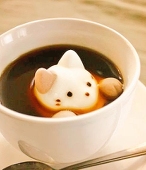 かも