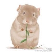 鼠鱼DShuyu