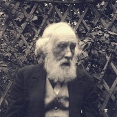 Charles’sRabbit